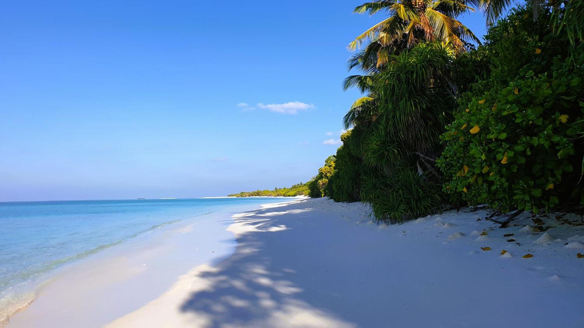 The Fulhadhoo Beach Cottage Eksteriør billede