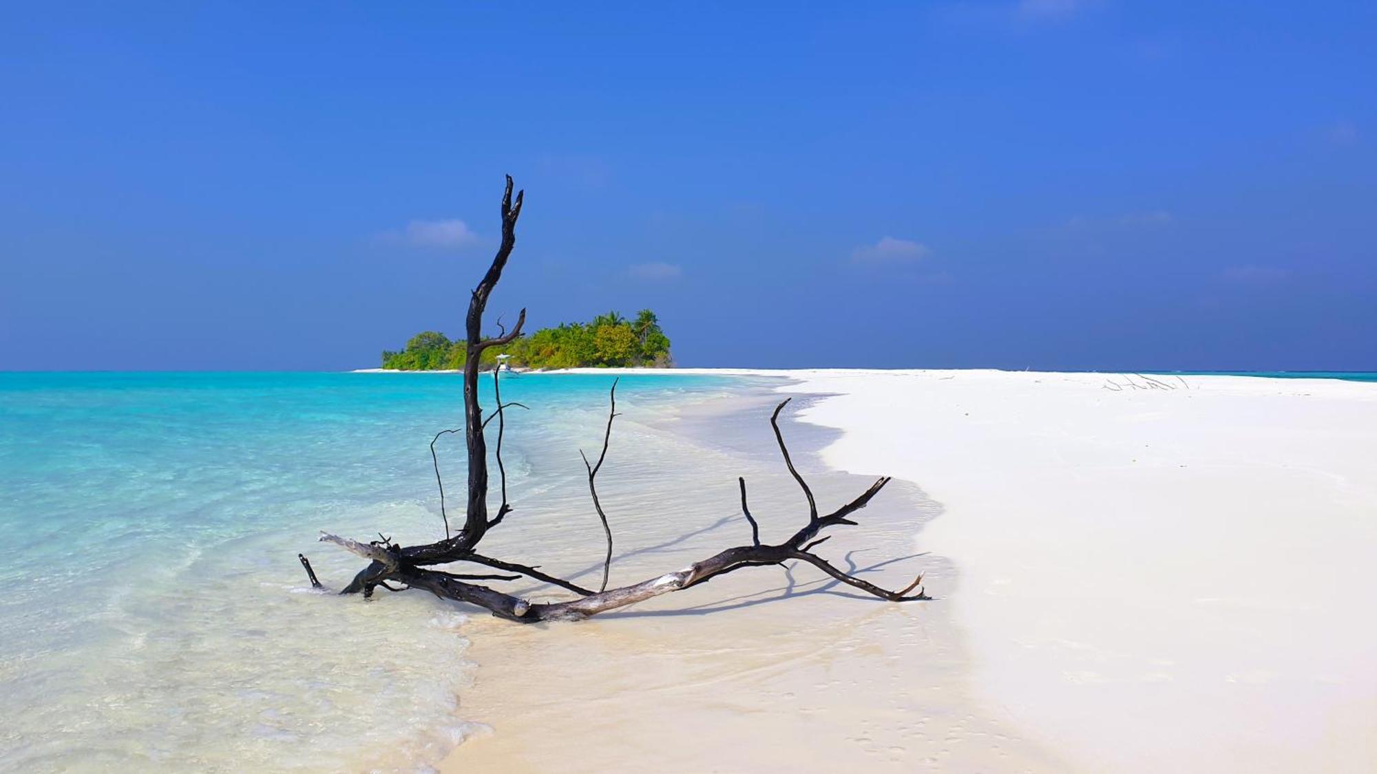 The Fulhadhoo Beach Cottage Eksteriør billede