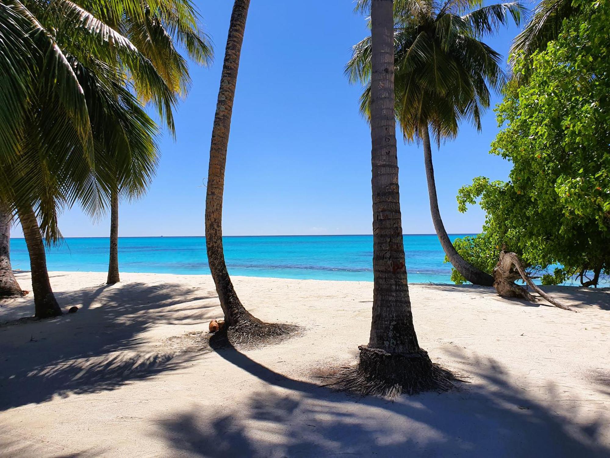 The Fulhadhoo Beach Cottage Eksteriør billede